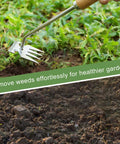 Four Tine Stainless Steel Weed Puller Tool With Solid Wood Handle for Backyard Planting in use on garden soil and grass