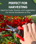 Hand using Ultra Lightweight Micro Tip Harvesting Snips For Herbs Flowers Veggies With 65g Weight, Spring Action And Safety Lock on bush