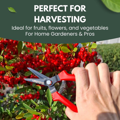 Hand using Ultra Lightweight Micro Tip Harvesting Snips For Herbs Flowers Veggies With 65g Weight, Spring Action And Safety Lock on bush