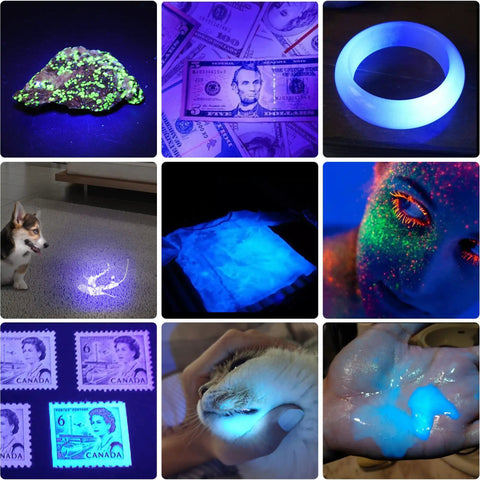 365nm UV Flashlight Blacklight 2 Pack USB Rechargeable Handheld Wood's Lamp showing various UV detections on objects