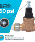 Cash Acme EB45 pressure regulator valve with disconnect clip, 3/4 in push-to-connect, brass body and poly top, 60 psi