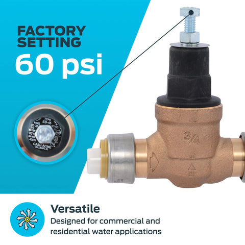 Cash Acme EB45 pressure regulator valve with disconnect clip, 3/4 in push-to-connect, brass body and poly top, 60 psi