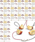 24 Fruit Battery Science Kit With Clock For Home Classroom Learning Power Up Physics Experiments With Lemons Oranges Potatoes Includes Copper And Zinc Plates Wires LEDs And Timers Kid Friendly fruit battery kit with apple slices and wires