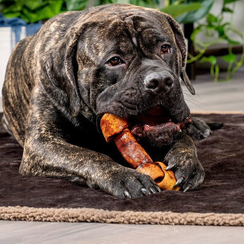Large dog chewing Made In USA Premium Beefhide Dog Chews Assorted Bones And Rolls For Strong Chewers Beef And Chicken Flavor