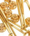 Pure Copper Teapot Knob Replacement Screws And Nuts Kit 10 Set Machine Screws Assortment For Furniture Repair Corrosion Resistant Hardware close-up