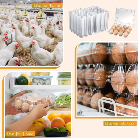 Clear Plastic Egg Cartons Bulk 200 Pack 3x4 Grid Stackable Trays For Farm Market And Home Use See Through Design Keeps Eggs Secure And Easy To See In Fridge