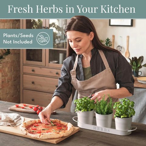 Indoor Herb Garden Planter Set With Tray For Windowsill And Countertop, Metal Farmhouse Style Planters with fresh herbs