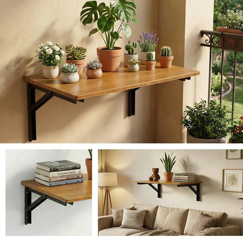 Rock Solid Folding Shelf Brackets 16 Inch Set Of 4 Black Stainless Steel Wall Mount, utilized for plants on a wooden shelf.