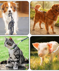 Four-pet collage showing 4.7-inch double-ended bolt snap hooks on leashes; zinc alloy hardware for dogs, cats, and pig.
