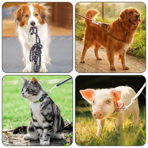Four-pet collage showing 4.7-inch double-ended bolt snap hooks on leashes; zinc alloy hardware for dogs, cats, and pig.