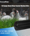 Top Shelf Vinyl Coated Hardware Cloth 16 Gauge Galvanized Steel With Half Inch Black Square Mesh welded yard fence near chickens.