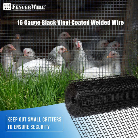 Top Shelf Vinyl Coated Hardware Cloth 16 Gauge Galvanized Steel With Half Inch Black Square Mesh welded yard fence near chickens.
