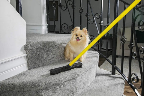 Pet Hair Removal Rubber Broom With 12.5 Inch Wide Electrostatic Bristle Head And 58 Inch Telescopic Handle For Easy No Sweat Floor And Carpet Cleanup Attracts Dust And Hair Like A Magnet