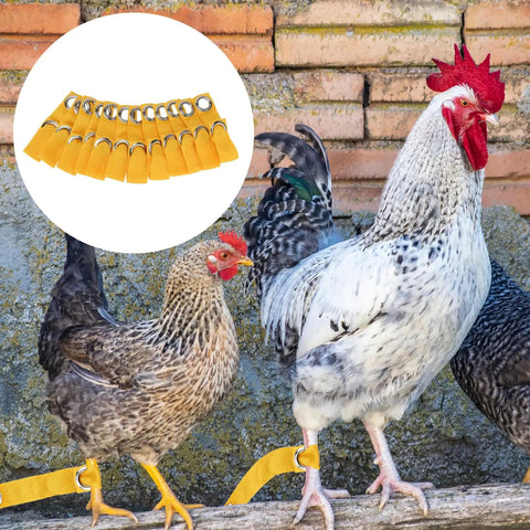 Yellow Tie Cord Leash For Game Fowl And Poultry, Adjustable Nylon Strap For Chickens, Secure Bird Restraint For Handling And Training