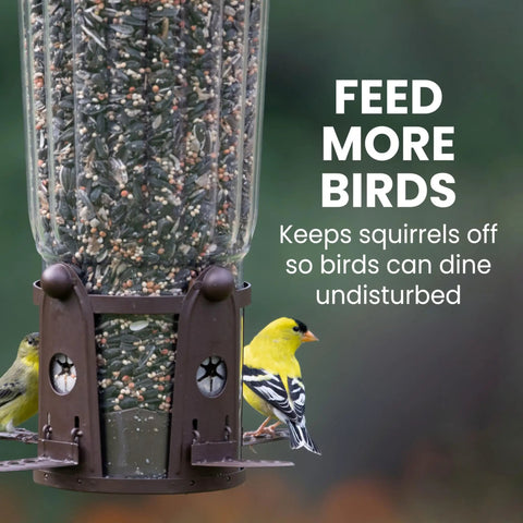 Squirrel Be Gone Max Bird Feeder With Four Flexport Feeding Stations, metal hanging feeder with seed and birds visible.