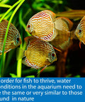 Hella Reliable 5In1 Aquarium Test Strips Keep Your Freshwater And Saltwater Tanks Flopping Smooth Checks PH Nitrite Nitrate Hardness 100 Count with colorful fish swimming in a planted aquarium.