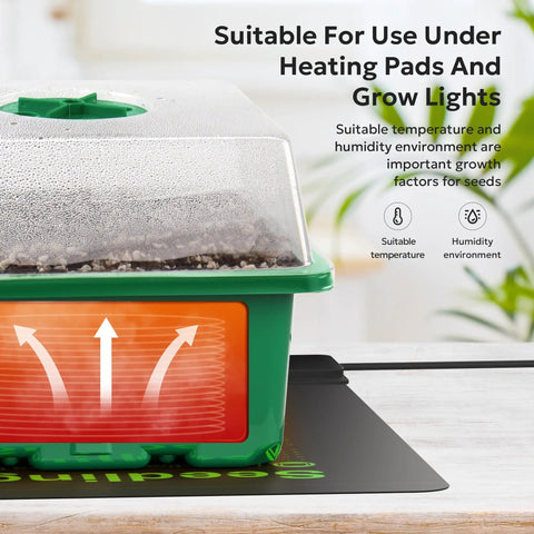 3-Pack Seed Starter Trays With Adjustable Humidity Dome And Base Indoor Greenhouse Propagator on heat mat