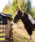 Horse tied with 16 Pack Cross Tie Rings For Horses With Screws Wall Mount Stainless Steel Hitching Rings Ranch Ready Horse Stable Tie Down Hooks