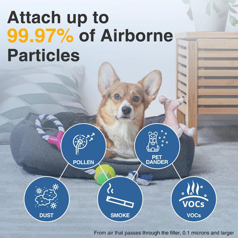 Dog on carpet with icons highlighting Six Pack HEPA Air Purifier Filter Replacement R Style For HPA100 HPA200 HPA300 And 5000 Series Purifiers R3 R2 R1 Compatible Breath Easy Clean Air At Home Everyday Use benefits.