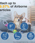 Dog on bed highlighting Replacement HEPA Filter R Pack capabilities for reducing pollen, dust, pet dander, smoke, and VOCs.