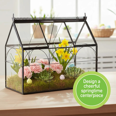 Glass Greenhouse Centerpiece Terrarium For Tabletop Decor With Black Brass Accents, Ideal Wedding Letterbox Display, Space For Succulents Moss And Flowers, Totally Chic Indoor Plant Lover Gift For Spring Home Decor