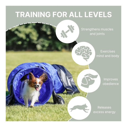 Dog Agility Tunnel For Training And Fun, 78.7 Inch Long And 15.7 Inch Diameter, with a dog running through blue tunnel on grass