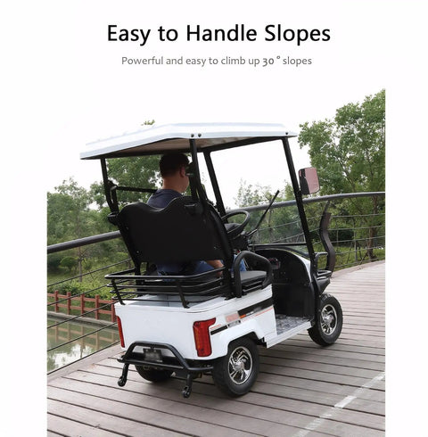 Heavy Duty Electric Golf Cart Packed With Beef For Dual Riders And An 800W Motor that climbs slopes easily with spacious trunk.