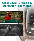 Smart Bird Feeder With Camera For Backyard Viewing, 2.5K HD Video, AI Bird Recognition Of 10K Birds, close-up night vision view