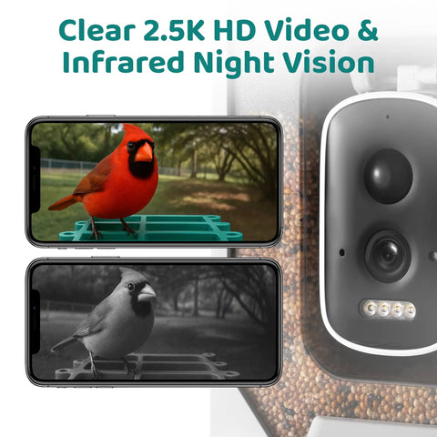 Smart Bird Feeder With Camera For Backyard Viewing, 2.5K HD Video, AI Bird Recognition Of 10K Birds, close-up night vision view