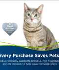 BISSELL CrossWave pet brush roll banner with gray cat and heart-shaped rescue tag
