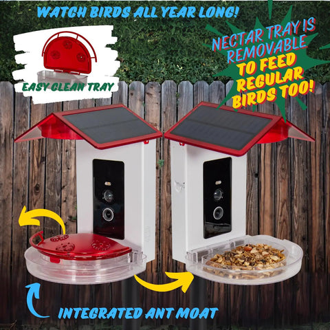 Killer 2 In 1 Hummingbird Feeder With Solar Smart Camera And AI Species Tracking For Backyard Watching Plus Motion Detection showing removable nectar tray and integrated ant moat.