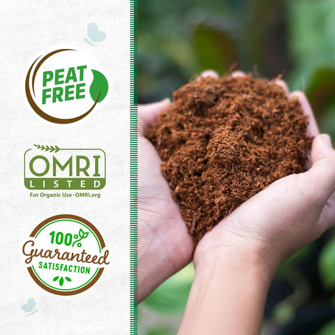 Hands holding peat-free organic seed starting block soil expanding to 12 quarts, OMRI listed for veggies herbs flowers