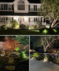 Low Voltage Landscape Lights Kit With Transformer And Timer, 12W 12-24V Outdoor LED 3000K Waterproof Garden Pathway Lights showcasing illuminated gardens and pathways