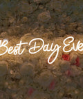 Lit 26 Inch By 7.9 Inch LED Neon Sign Best Day Ever With Dimmer 12V Power Adapter Acrylic Backplate on floral backdrop