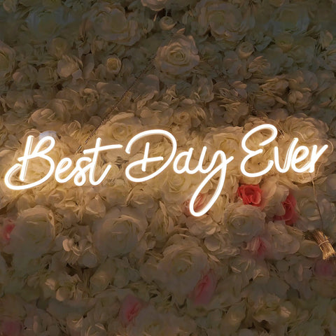 Lit 26 Inch By 7.9 Inch LED Neon Sign Best Day Ever With Dimmer 12V Power Adapter Acrylic Backplate on floral backdrop