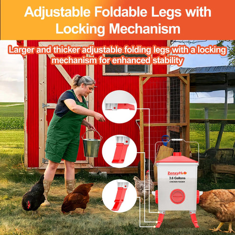 Three Point Six Gallon Chicken Feeder With Anti Roost Cone 3 adjustable height locking legs, backyard setup with chickens