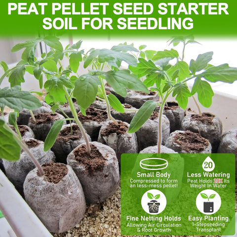 Close-up of seedlings sprouting in 100 Pack 30mm Peat Pellets Seed Starter Pods for Easy Seed Starting Expand to Eight Times Their Size