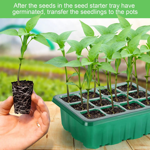 Seed Starter Tray Kit With Grow Lights And Humidity Domes, 6 Packs Indoor Greenhouse Seedling Trays For Planting, 12 Cells Per Tray