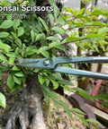 Bonsai scissors trimming small green leaves, 8 inch size visible, in a bonsai tree setting outdoors.