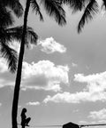 Silhouette of a person balancing on Infinity Slackline Kit With 100 Foot Longline, palm trees in background, cloudy sky.