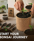 Planting bonsai seedling in a pot with Beginner Bonsai Tree Kit With 5 Unique Japanese Bonsai Trees, Complete Indoor Bonsai Starter Kit Includes Tools, Planters, Extra Seeds, And DIY Growing Guide Dope Gift For Women And Men