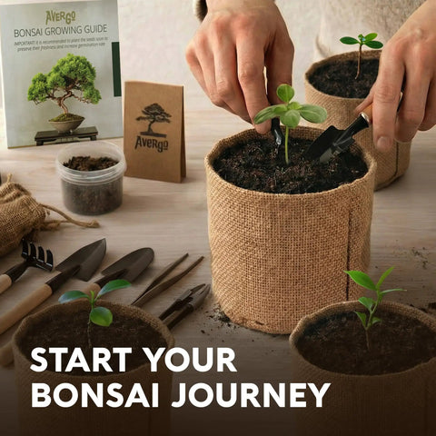 Planting bonsai seedling in a pot with Beginner Bonsai Tree Kit With 5 Unique Japanese Bonsai Trees, Complete Indoor Bonsai Starter Kit Includes Tools, Planters, Extra Seeds, And DIY Growing Guide Dope Gift For Women And Men