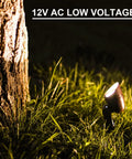 Low Voltage Landscape Lighting Floodlight And Spotlight Kit 3W LED 3600K Warm White 8 Pack 12V AC Outdoor Tree Lights illuminating a tree.