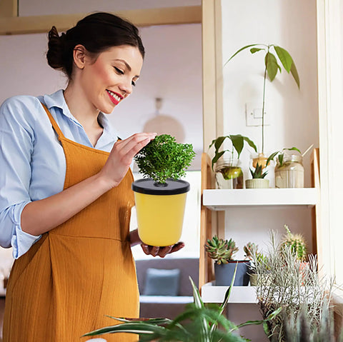 Woman holding a Kratky Method Hydroponic Planter Kit with eight planters and twenty four growing sponges for indoor herbs and veggies.