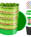 Stackable Seed Sprouting Kit With Four Clear Trays Holes And Tray Soil Free Microgreens Sprouter For Beans Alfalfa Fresh Organic Sprouts