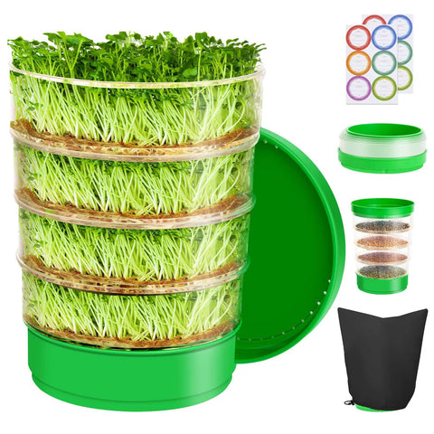 Stackable Seed Sprouting Kit With Four Clear Trays Holes And Tray Soil Free Microgreens Sprouter For Beans Alfalfa Fresh Organic Sprouts