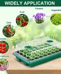 Five Pack Seed Starter Trays Kit With 200 Cells Total See Through Lids And Adjustable Humidity Dome showcasing seedlings and plant use