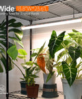 Five Tier Plant Stand With Four 24W Full Spectrum T8 Grow Lights For Indoor Seed Starting with tropical plants