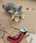 Grey cat with yellow collar sits on discarded cardboard near S&F Stead Fast Electric Box Cutter 4V Cordless Power Scissors.