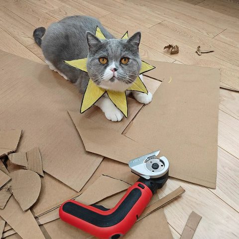 Grey cat with yellow collar sits on discarded cardboard near S&F Stead Fast Electric Box Cutter 4V Cordless Power Scissors.